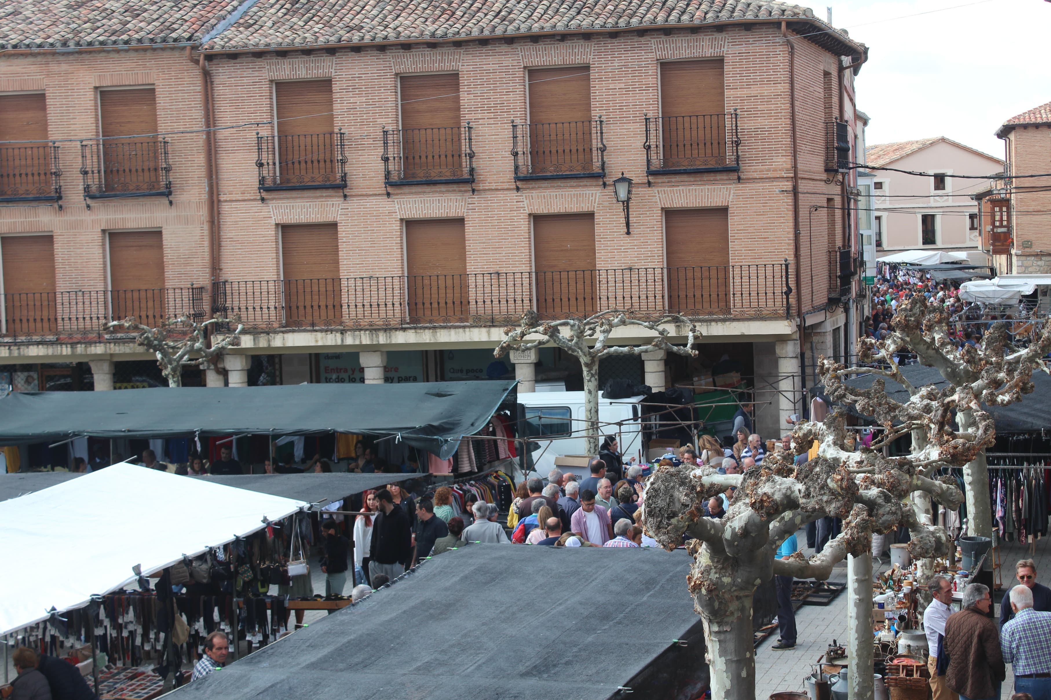 fotos el pilar