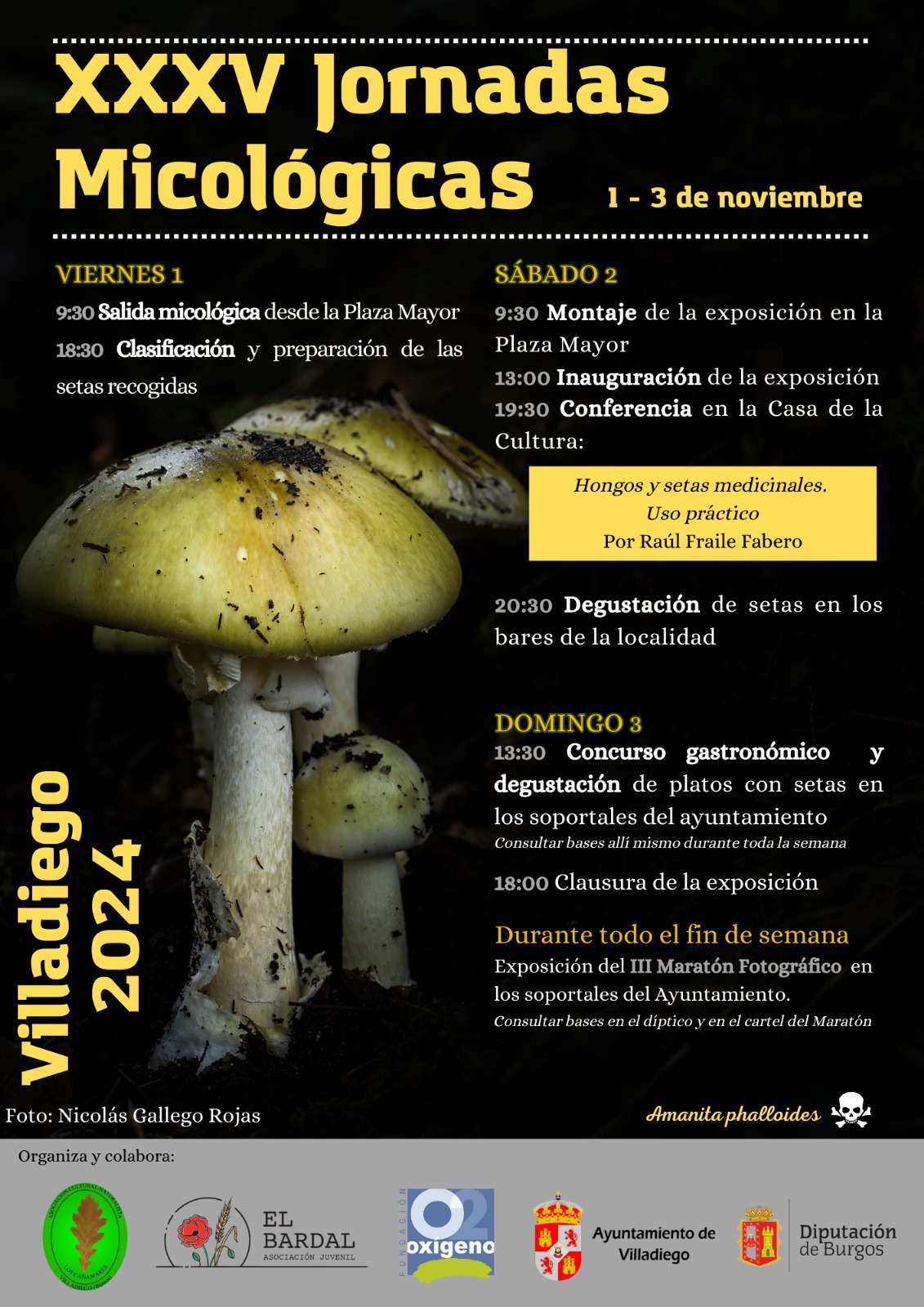 Cartel Jornadas Micologicas 2024