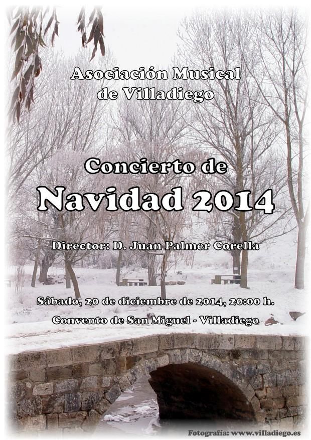 CONCIERTO DE NAVIDAD 2014